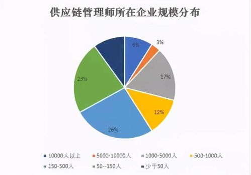供應鏈管理師 現代商業的“幕后指揮官”與配套服務生態